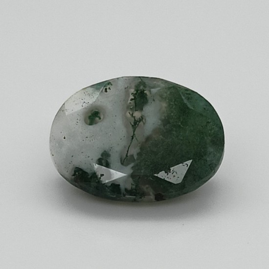 Tree Agate 6.27 Ct Lab Tested Tree Agate 6.27 Ct Lab Tested